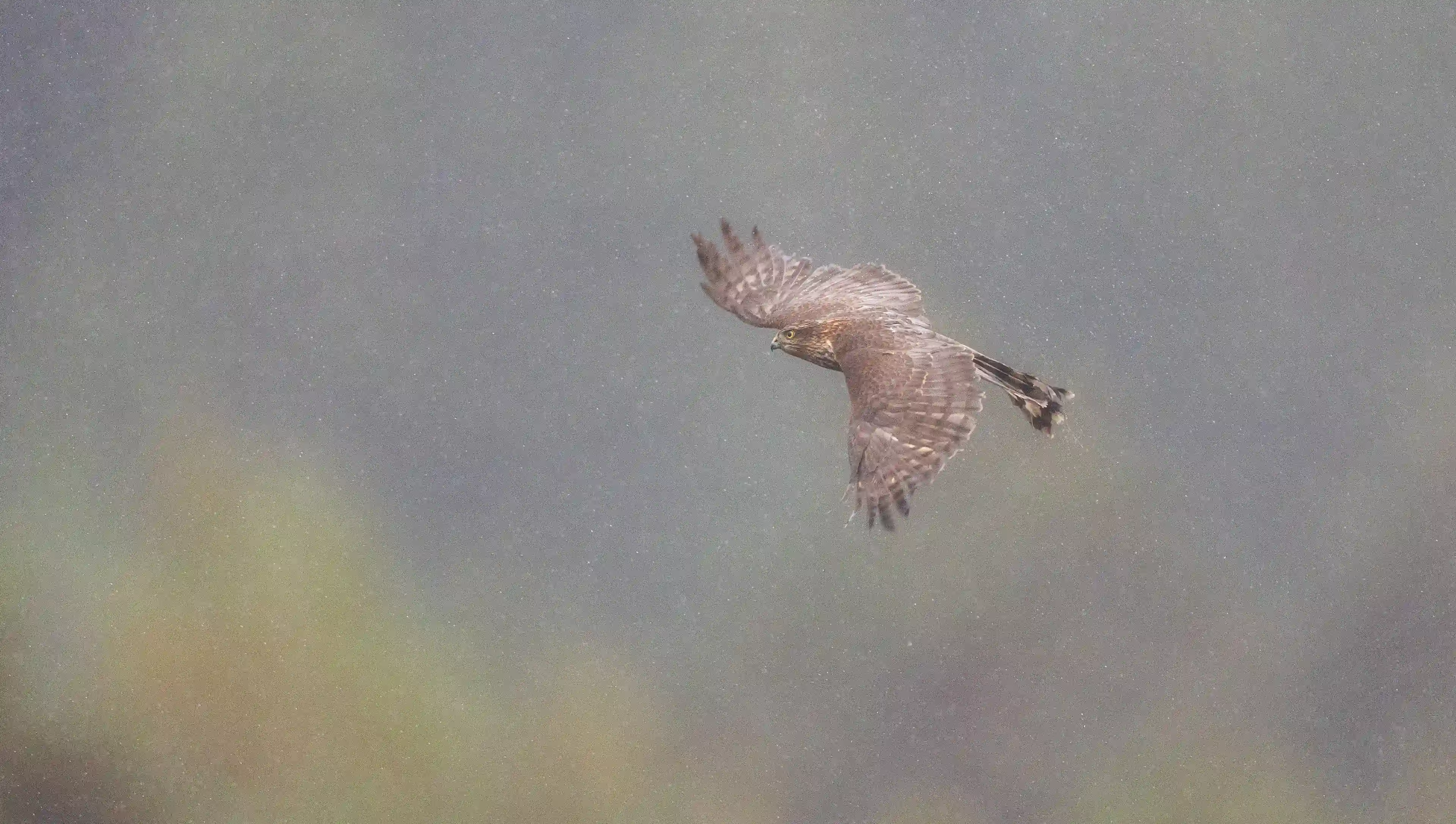 Autumn Norway gallery image 19